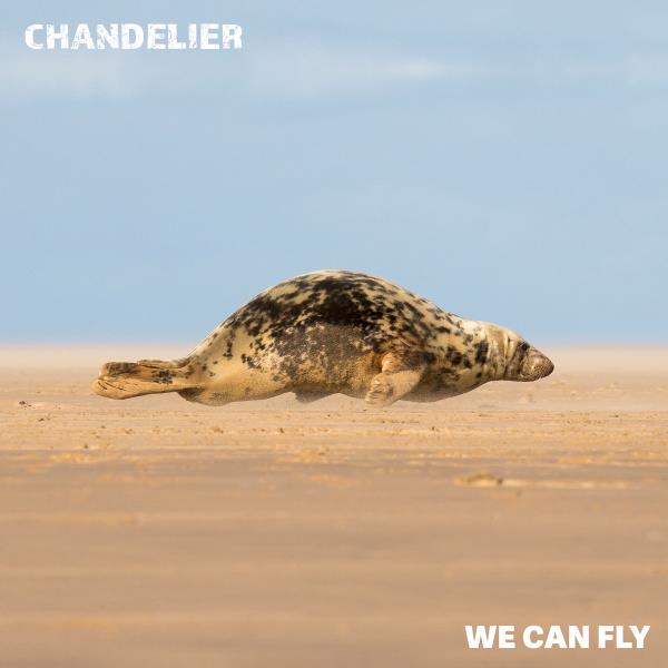 We Can Fly